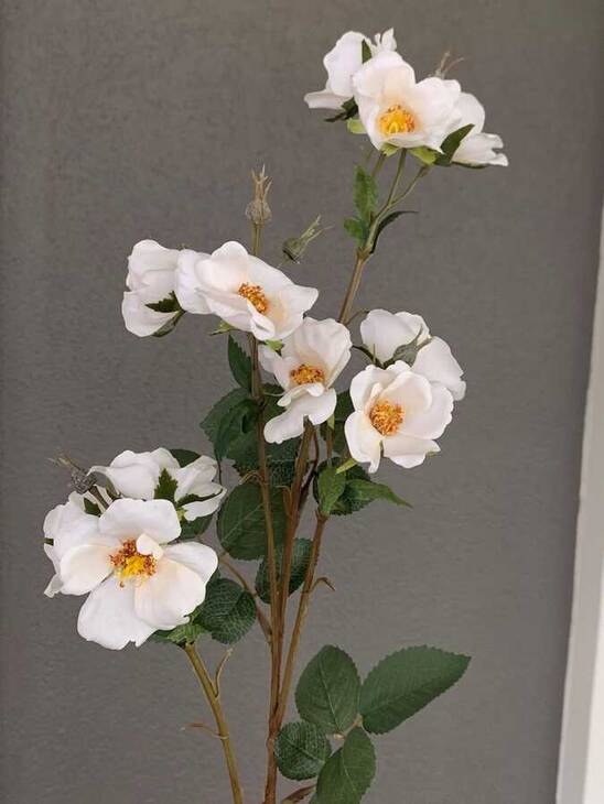 RX 019 CRE KREM GELİNCİK DALI